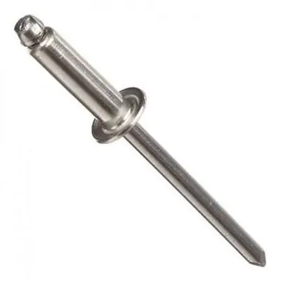 Remaches 3,5 x 12 mm. Argenrap (U